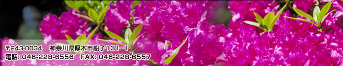 ��243-0034 ��������ڻ�����180-1 ���� 046-228-6556 FAX 046-228-6557