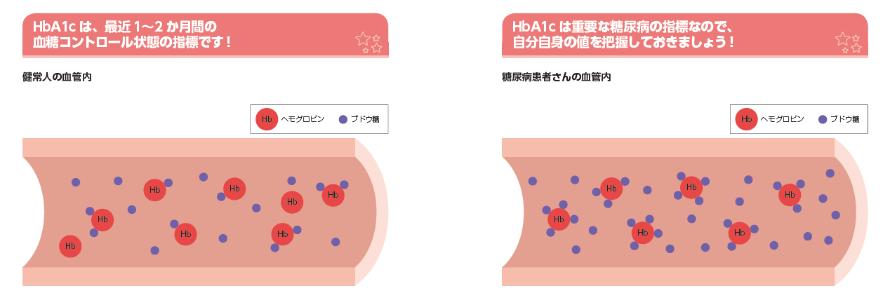 は ヘモグロビン a1c と ヘモグロビンA1c（HbA1c）のお話｜東邦大学医療センター大森病院 臨床検査部