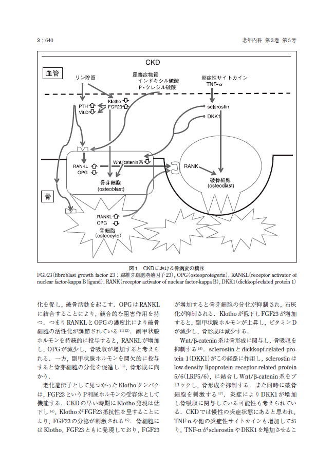 老年内科2021年5月号2