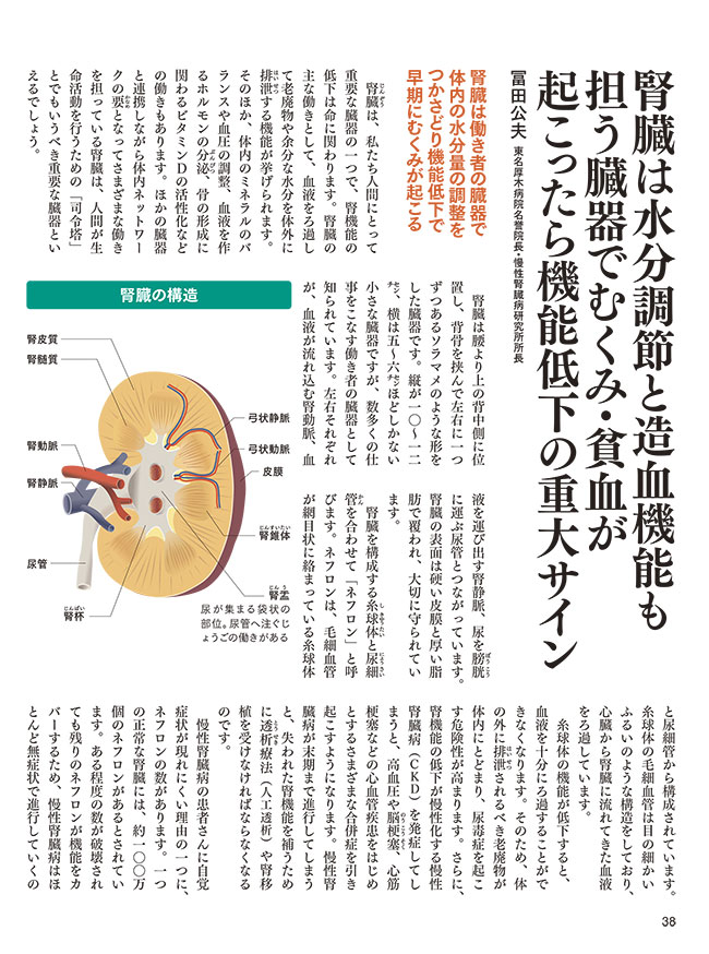 腎臓は水分調節と造血機能も担う臓器でむくみ・貧血が起こったら機能低下の重大サイン