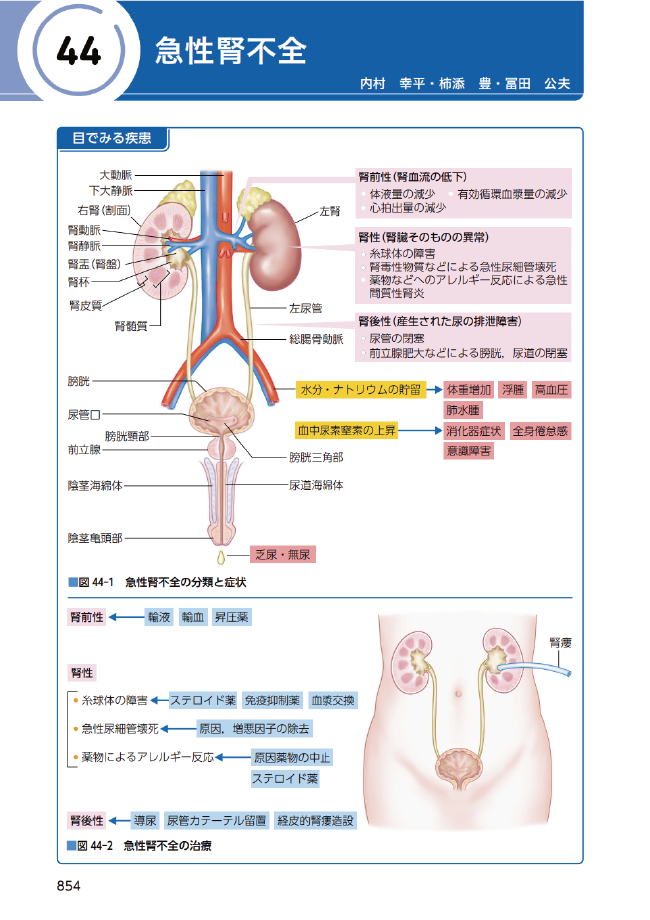 急性腎不全1