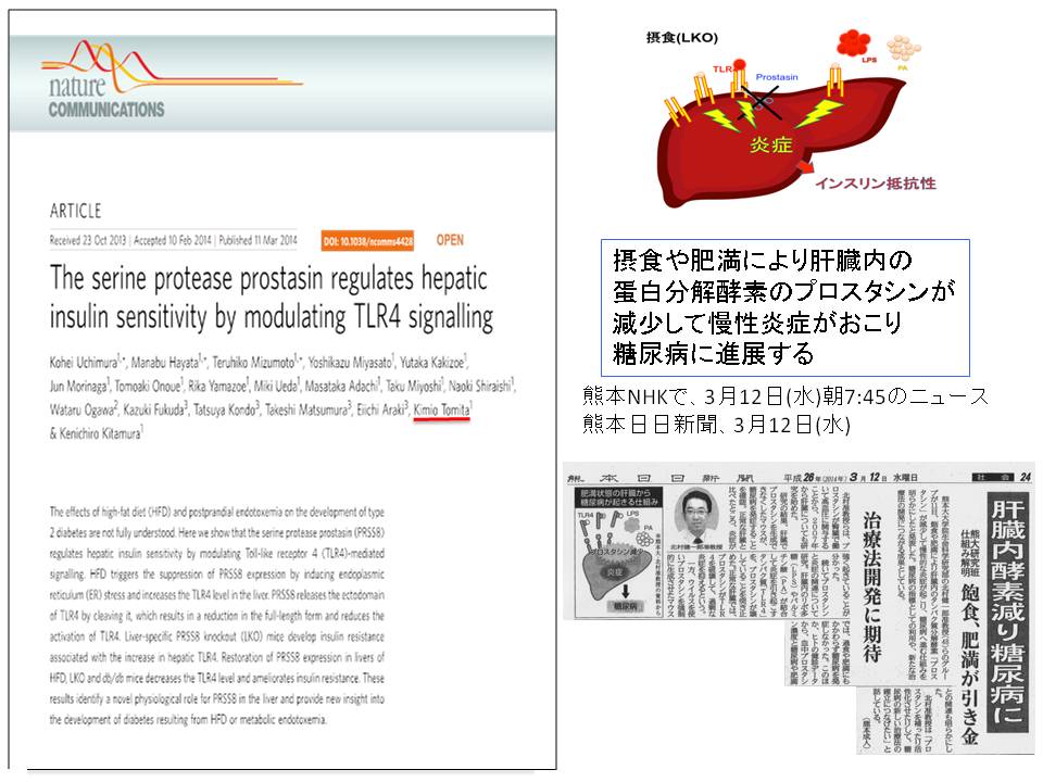 論文がNatureCommunicationsに収載