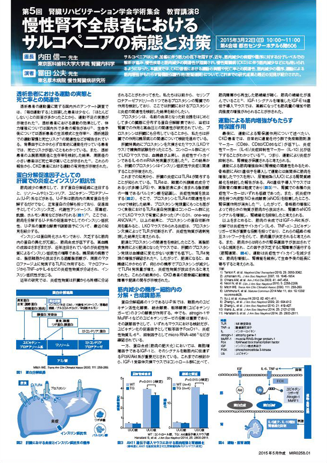 慢性腎不全患者におけるサルコペニアの病態と対策